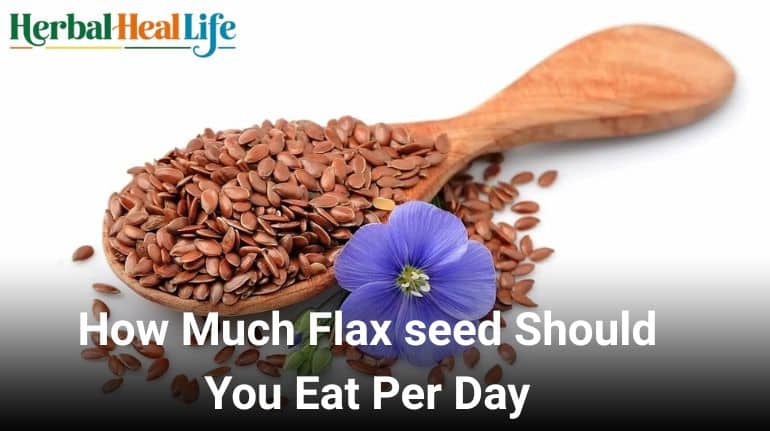 How Much Flax seed Should You Eat Per Day?