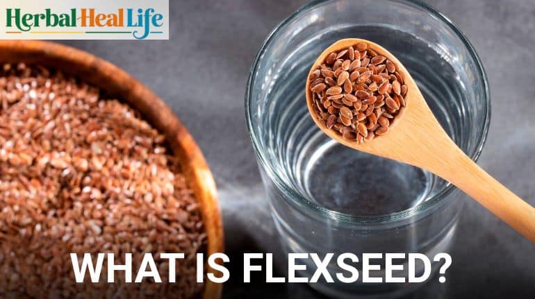 what is flexseed?