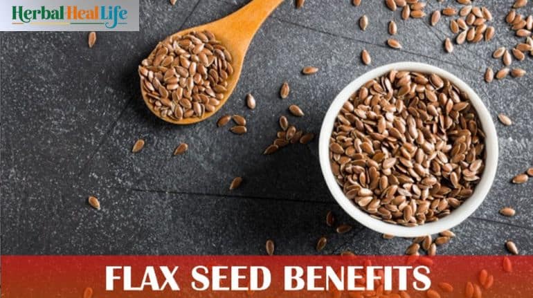 flexseed benefits