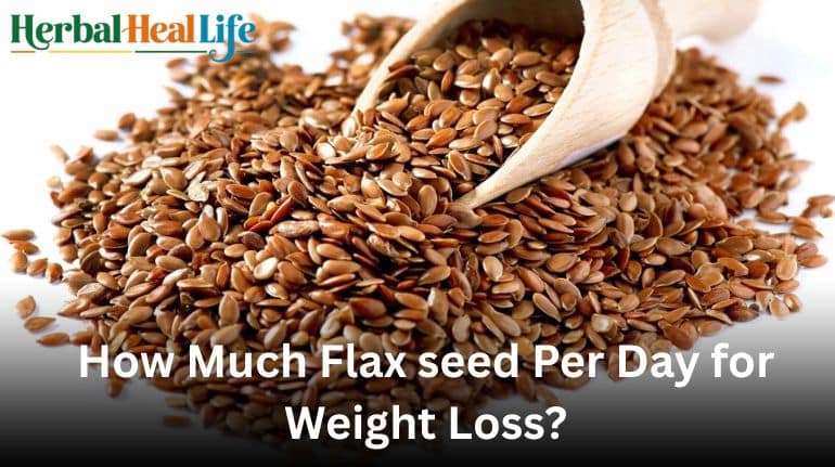 How Much Flax seed Per Day for Weight Loss?